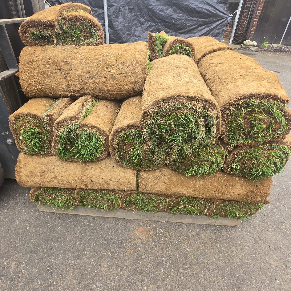 Fresh-cut sod rolls