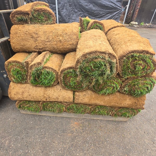 Fresh-cut sod rolls