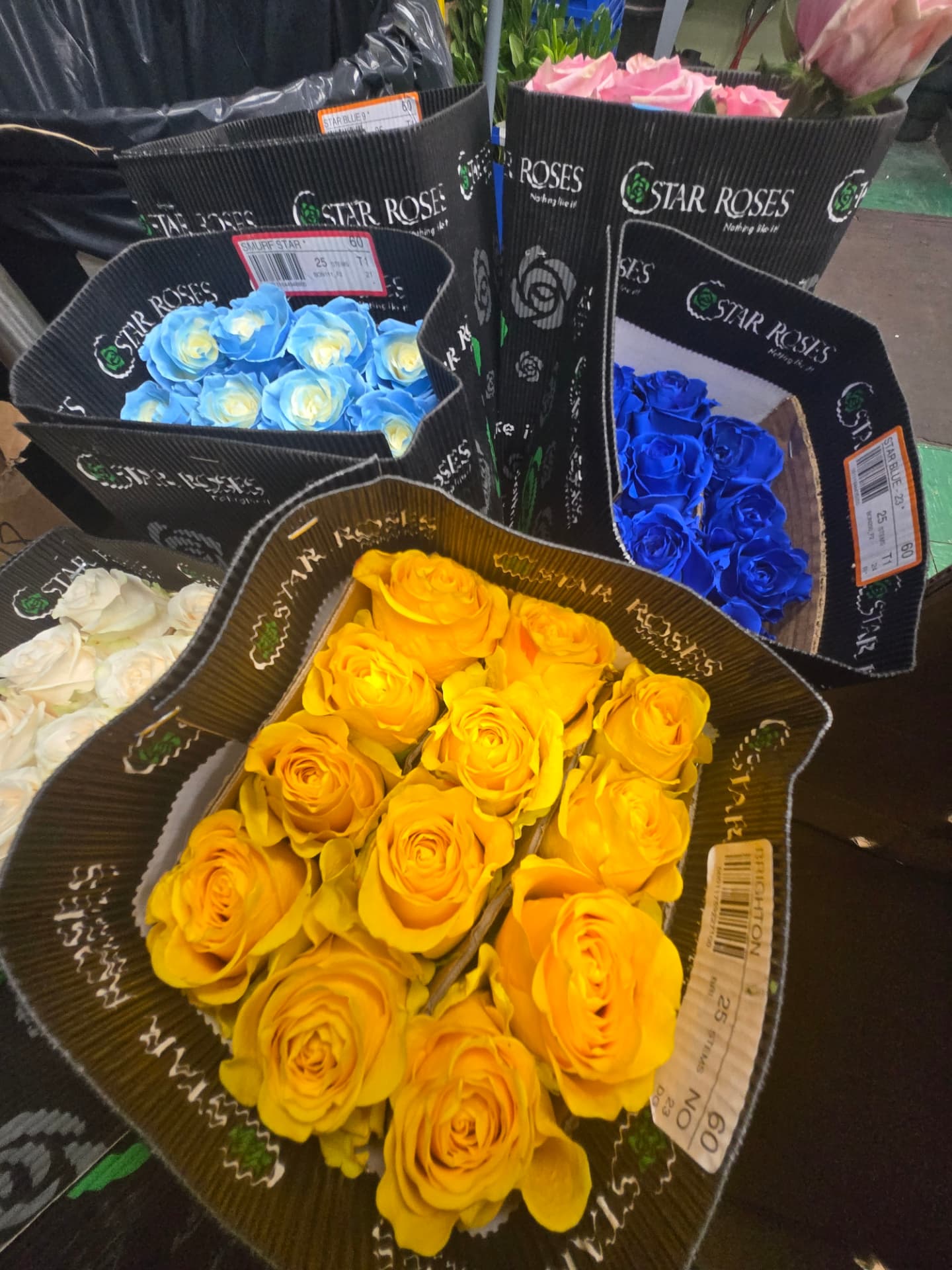 Fresh cut Star Roses in yellow, blue and pink at the florist bench