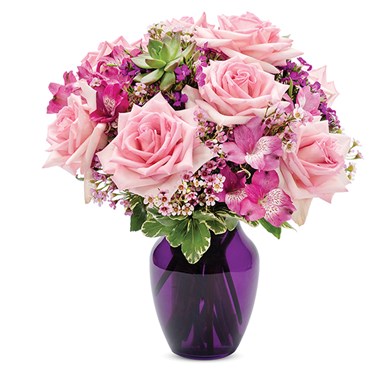 Pink roses in purple vase