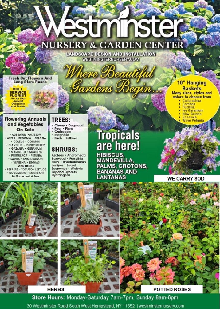 Coupons and Specials Westminster Nursery & Garden Center